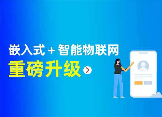 嵌入式